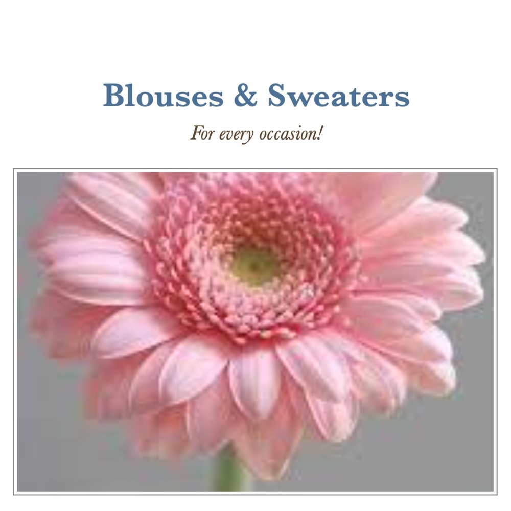 Blouses & Sweaters!
